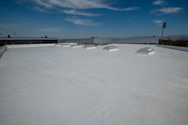 Best Roof Moss and Algae Removal  in Big Bend, WI